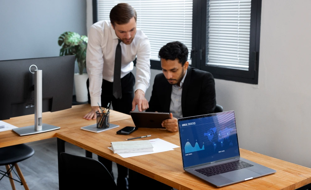 Professional Accounting Software Services UAE