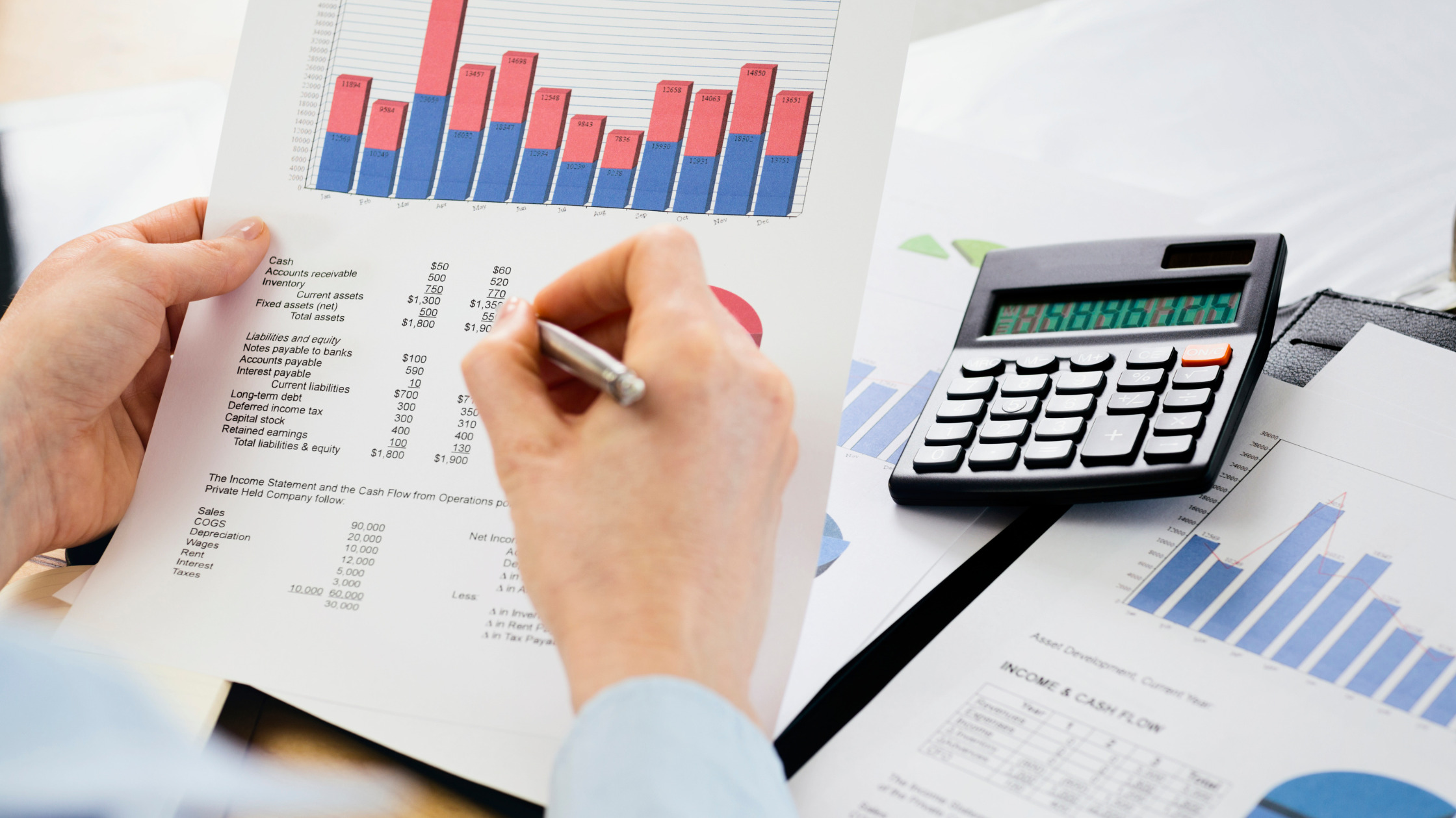 Audit Assistance for Dubai Free Zone Companies: A Complete Guide
